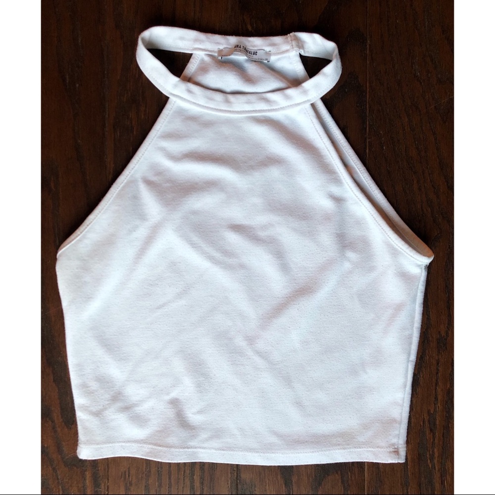 Zara Haulter Crop Top